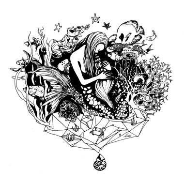 The collections of seashell