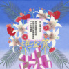 烧金蕉