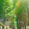 沈浸式听觉系列