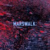 Released Single