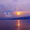 照见