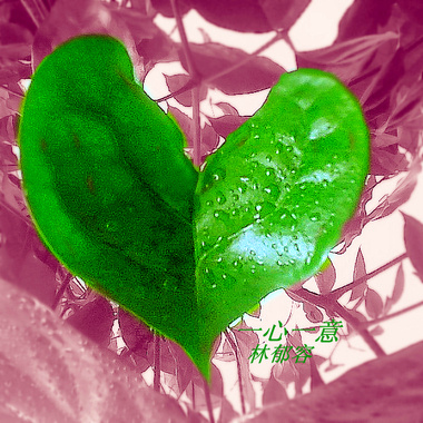 焕然一新