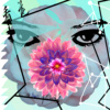 看花（EP）