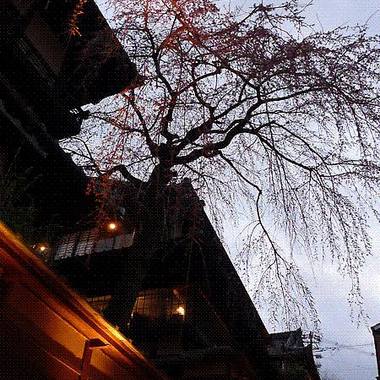 京都，你。