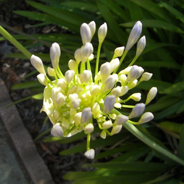渺小-2011-3