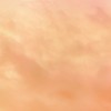 トオル＿选她吧