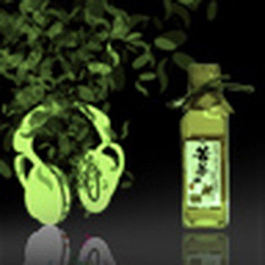 皮影(2011电信创新应用大赛 音乐创作竞赛 社会组入选奖)