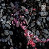 黑市音乐合辑2012