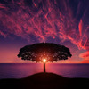 Beauty Silhouette