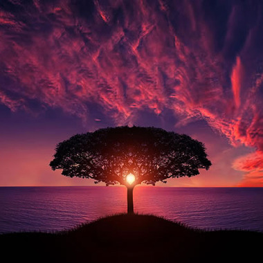 Beauty Silhouette