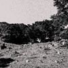 destroy chhau-thau bio!