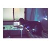 秋光 / Affection
