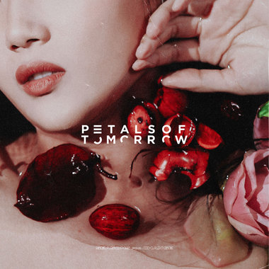 Petals of Tomorrow-Seasons for Change