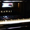D. Scarlatti - Sonata in G, K.391, L.79