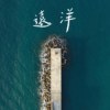 远洋 - Single