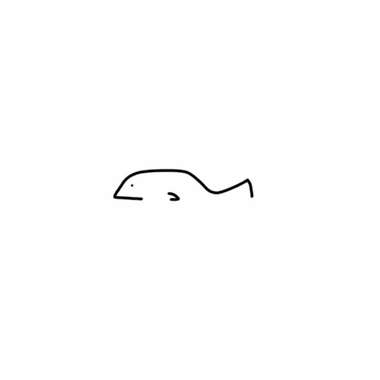 由来由去