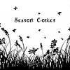 Season Cones