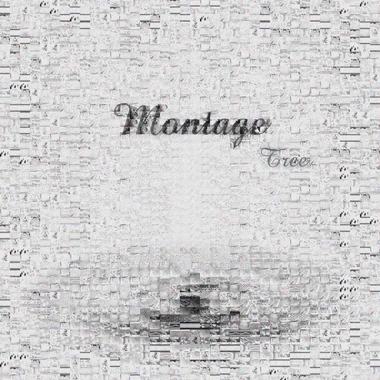 Montage