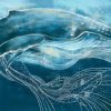 Whale Fall