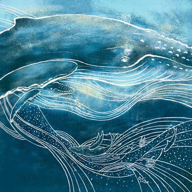 Whale Fall