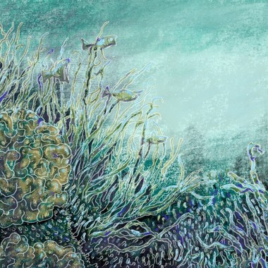 鲸鱼泡泡
