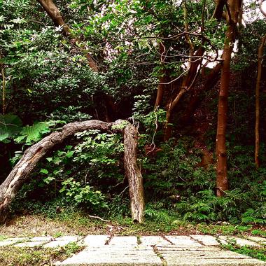 小河