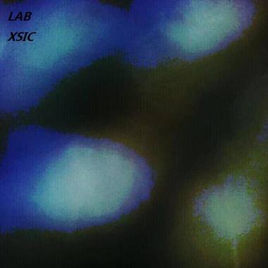 LAB