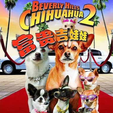 富贵吉娃娃2