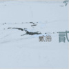 朋友关系