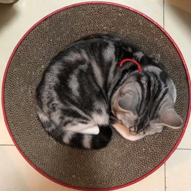 枯萎在青春的轰鸣
