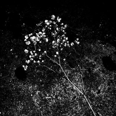 Sunless xxx