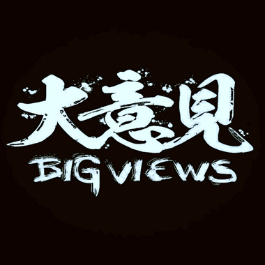 大意见