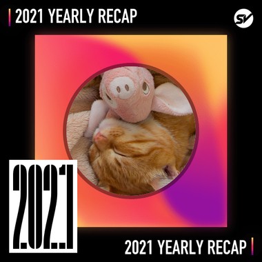 2021 个人年度精选之最