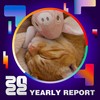 2022 个人年度精选