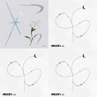 vince moon