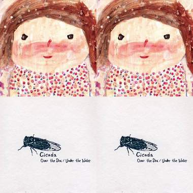 cicada