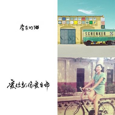 房东的猫