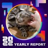 2022 个人年度精选