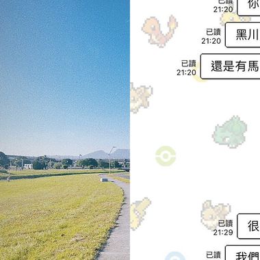 就只有纸飞机