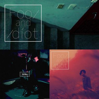 fool and idiot