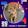 2022 个人年度精选