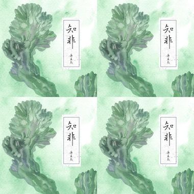我的歌单  