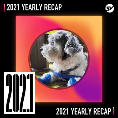 2021 个人年度精选之最