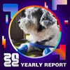 2022 个人年度精选
