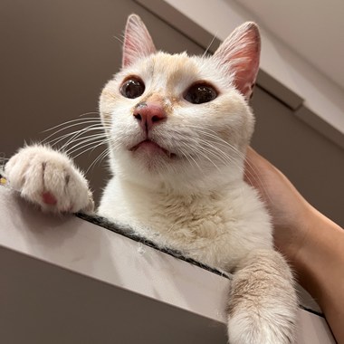 不知道要叫什么名字