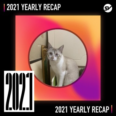 2021 个人年度精选之最