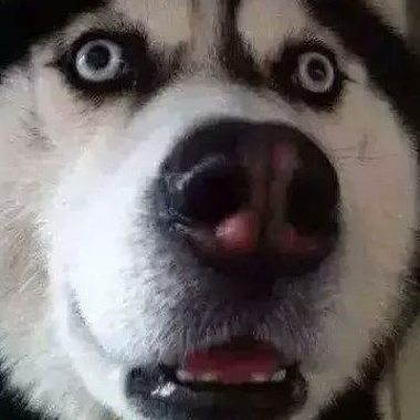 llooowww