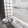 日子