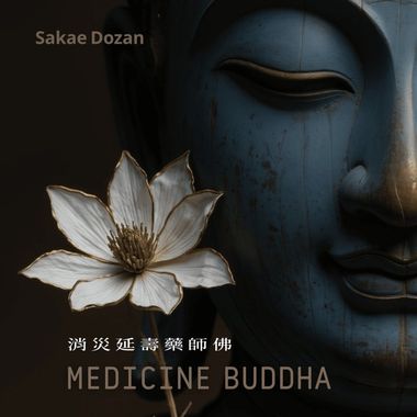 药师佛十二大愿