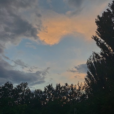 第三个夏天